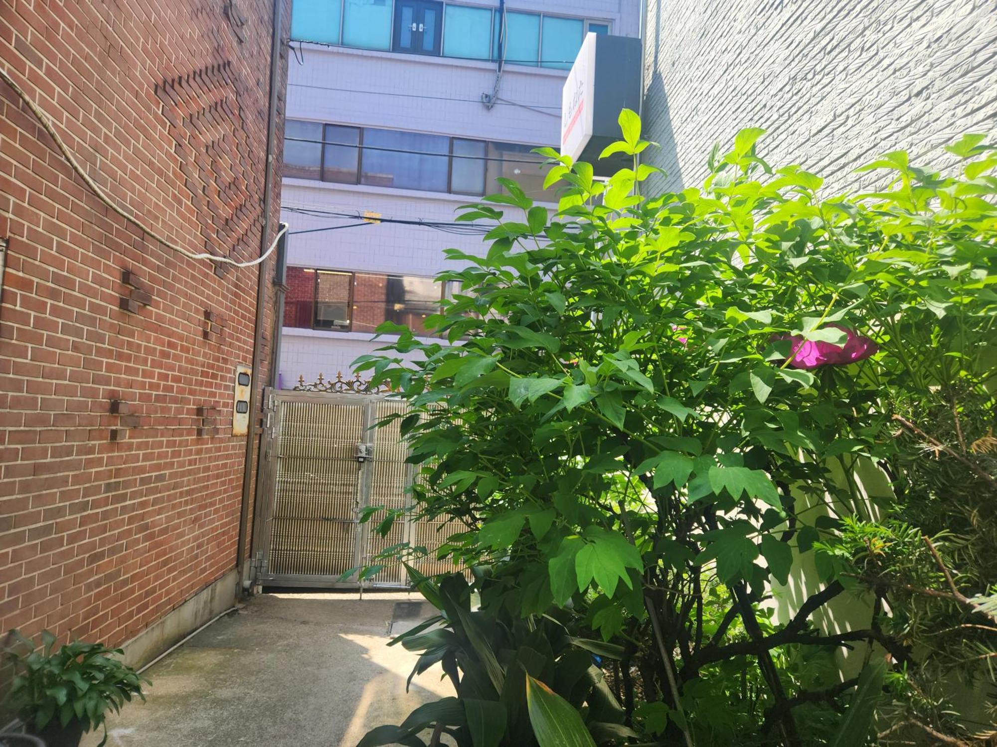 5-minute Walk From Hongdae Station, Hotel-style Bedding, 2 Rooms, Washer Dryer 아파트 서울특별시